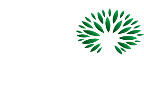 Logo WandS